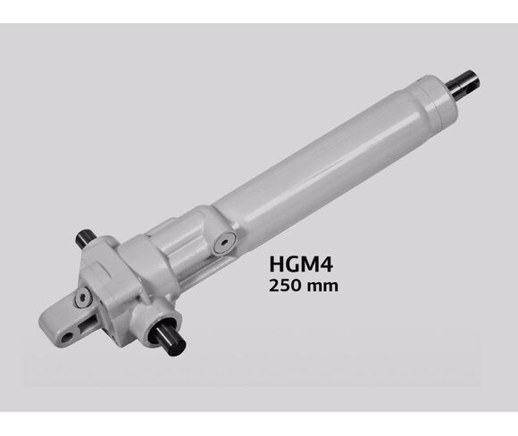 Hydraulic Pump