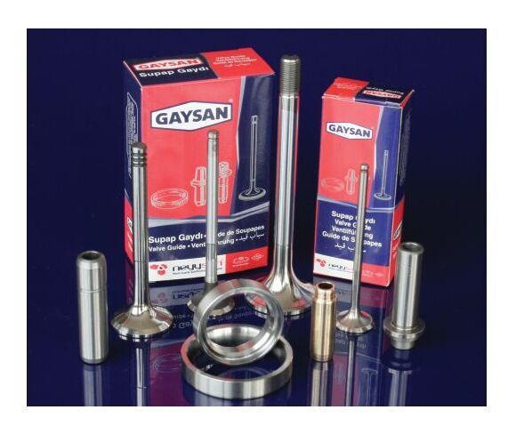 Valve Insert