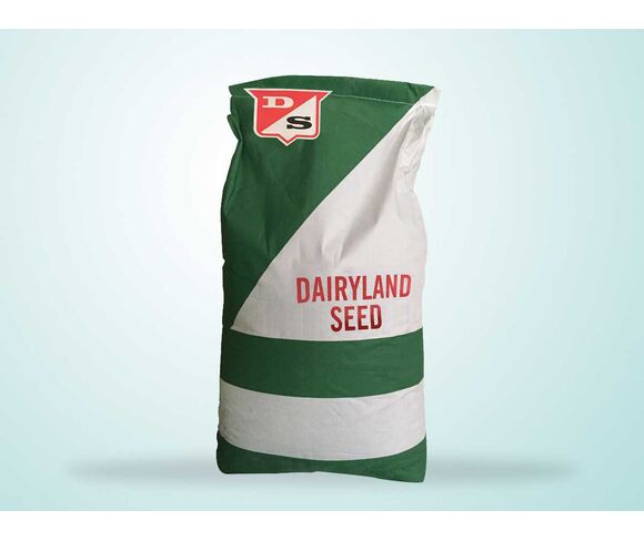 Clover Seed