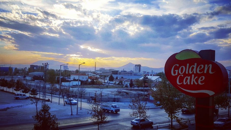 Golden Cake &#x130;ndust&#x131;r&#x131;es G&#x131;da San. Tic. Ltd. &#x15E;ti.