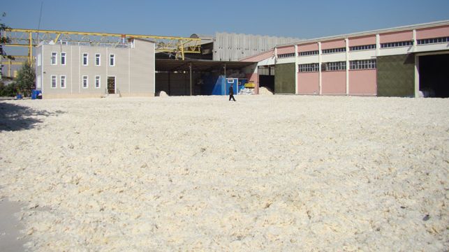 Soydemir Toptan Y&#xFC;n Ve Yapa&#x11F;&#x131; Ticaret Ve Sanayi Limited &#x15E;irketi