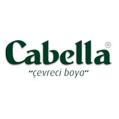Saraçoğlu Boya Kimya İnşaat Turizm ve Eğitim Hizmetler Sanayi Ticaret A.Ş. Saraçoğlu Boya Kimya İnşaat Turizm ve Eğitim Hizmetler Sanayi Ticaret A.Ş.