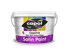 Paint