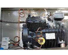Motor Grupları