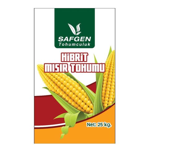 Corn Seed