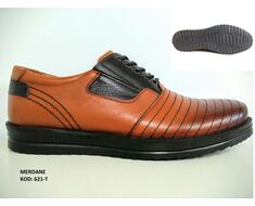 Shoe