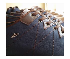 Shoe