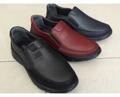 Shoe