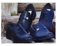 Shoe