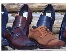 Shoe