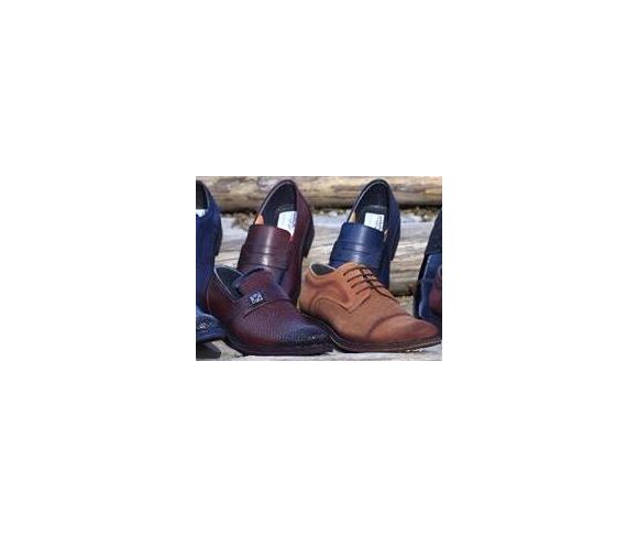 Shoe