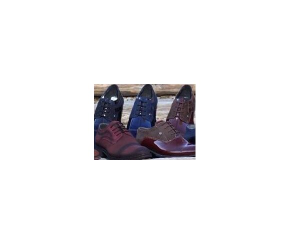 Shoe