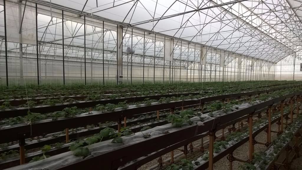 ONURPLAS Metalurji Sondaj Plastik &#x130;n&#x15F;aat Otomotiv San. Tic. Ltd. &#x15E;ti.