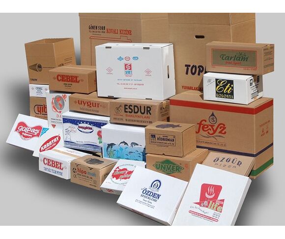 Plastic Packing Boxes