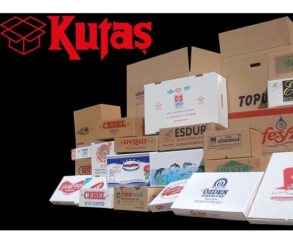 Plastic Packing Boxes