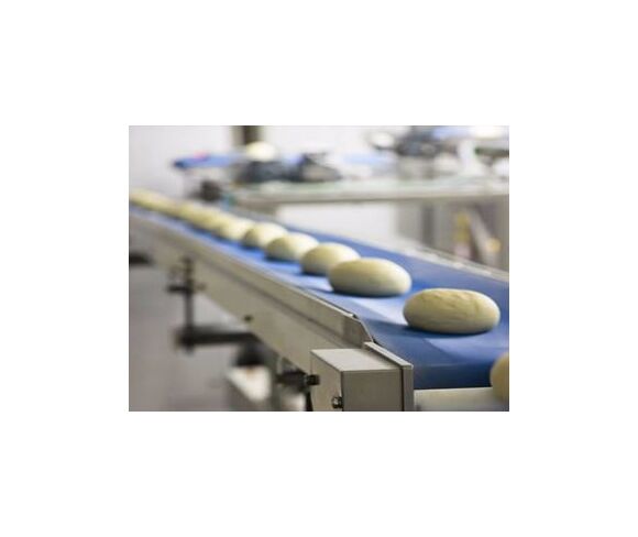 Production / Conveying Belts