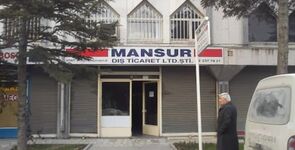 Mansur Dış Ticaret Limited Şirketi
