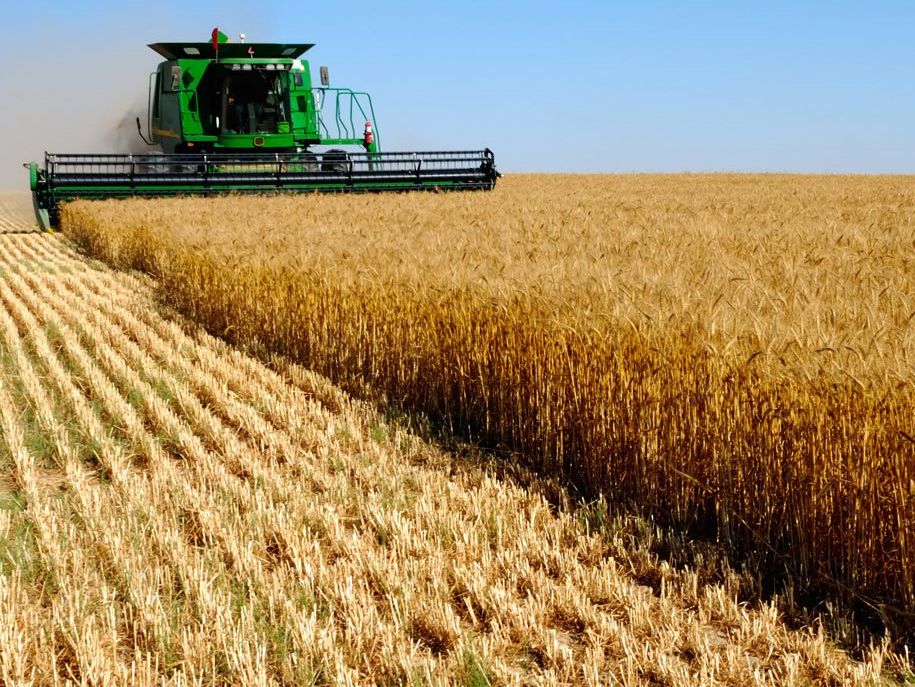 Pièces De Machines Agricoles