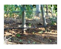 Tuyau D'irrigation Par Egouttement