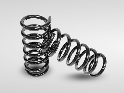 Yaylar Ve Yay Yaprakları