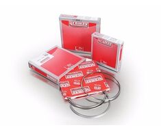 Piston Ring