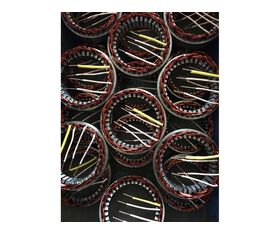Stator