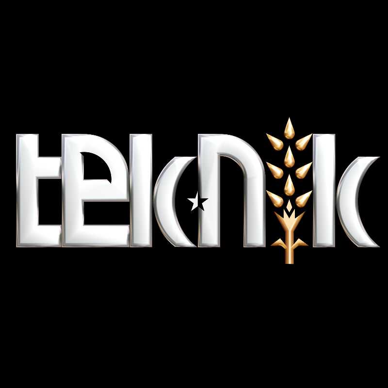 Teknik Değirmen Mak. San. ve Tic. 