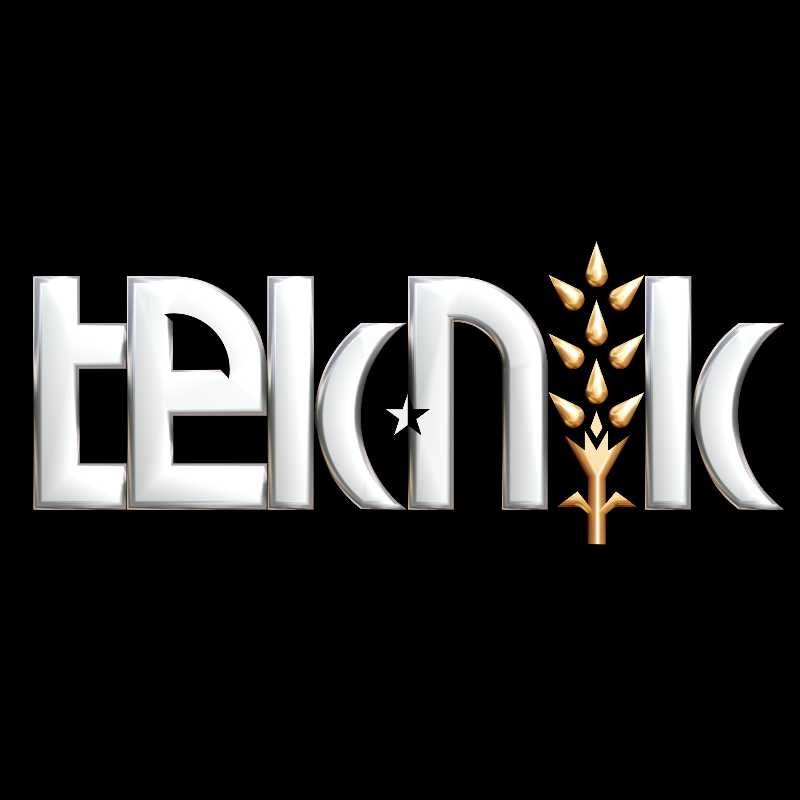 Teknik Değirmen Mak. San. ve Tic.  Teknik Değirmen Mak. San. ve Tic.