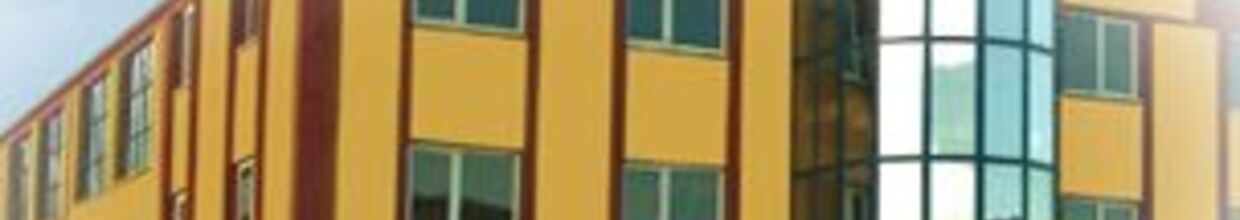 AVF Plastik Ve Ambalaj Sanayi Ve Ticaret Limited Şirketi