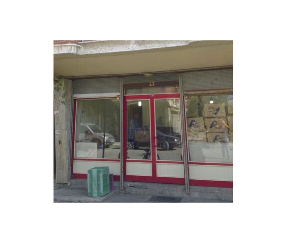 Frezeci Avni