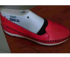 Shoe Last