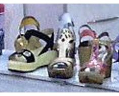 Shoe