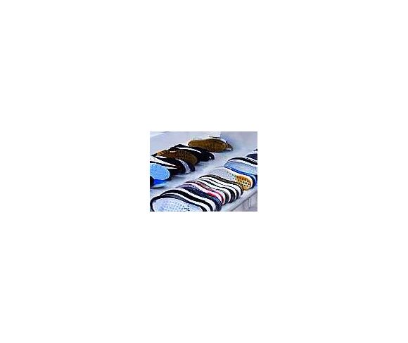 Shoe