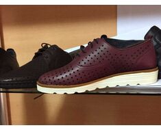 Shoe
