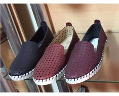 Shoe