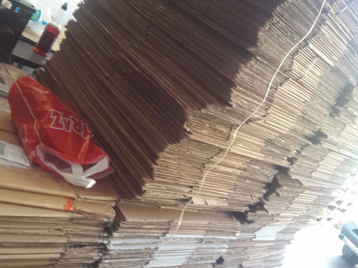 Cardboard Boxes / Casings