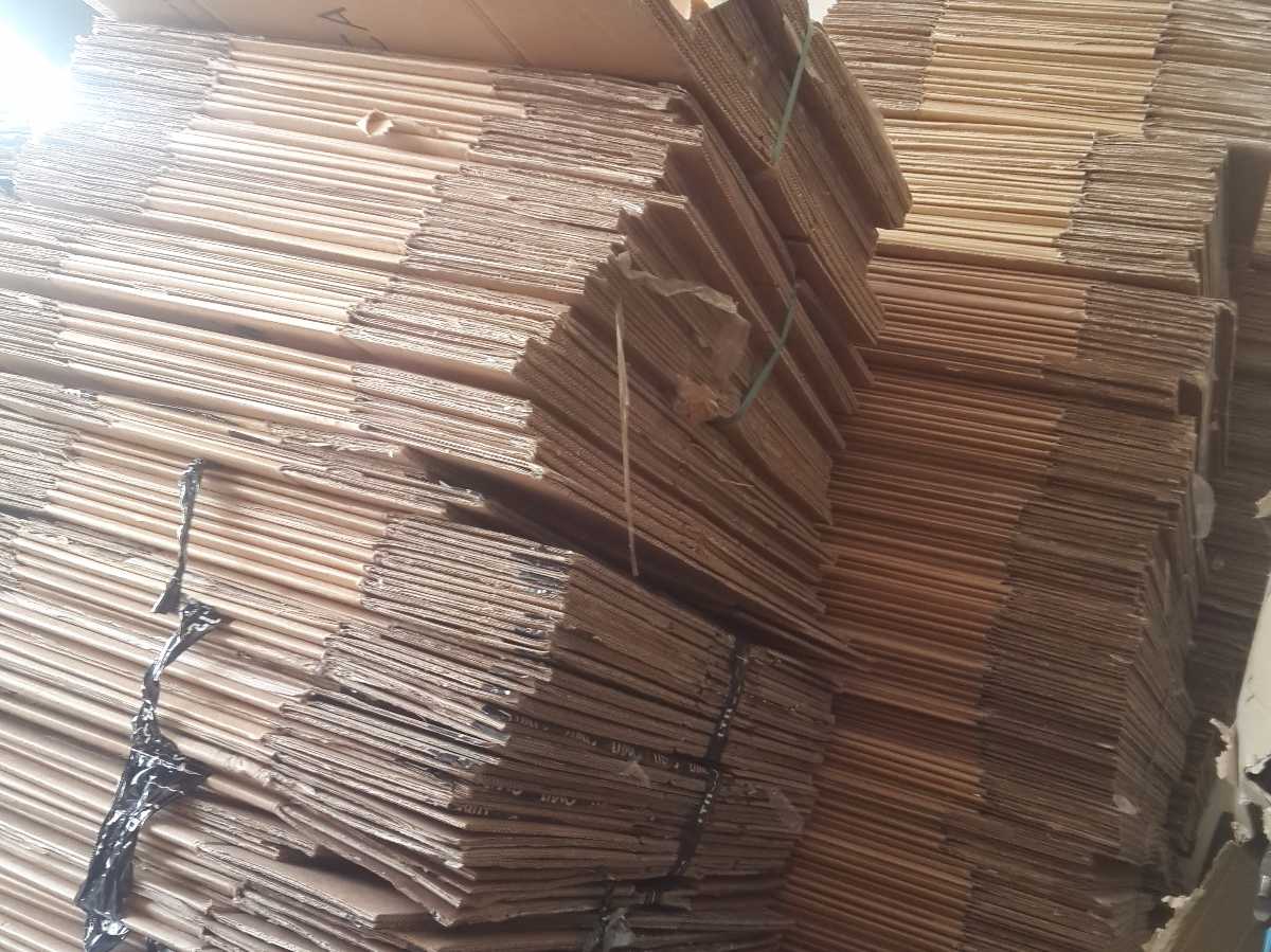 Cardboard Boxes / Casings