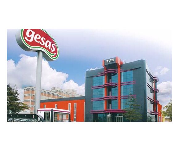 Gesaş Gıda San. ve Tic. A.Ş.