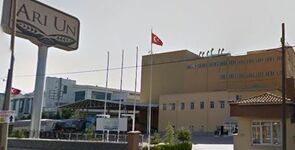 Arı Un Fabrikası San. ve Tic. A.ş.