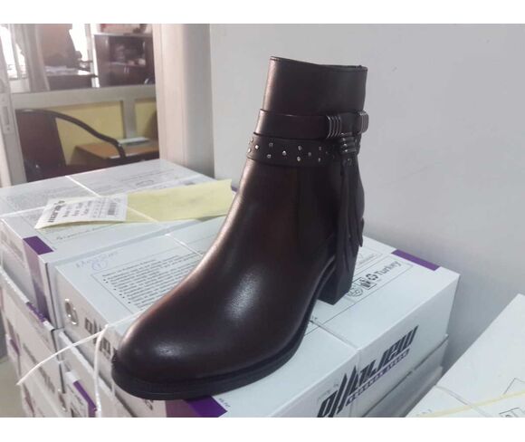 Shoe
