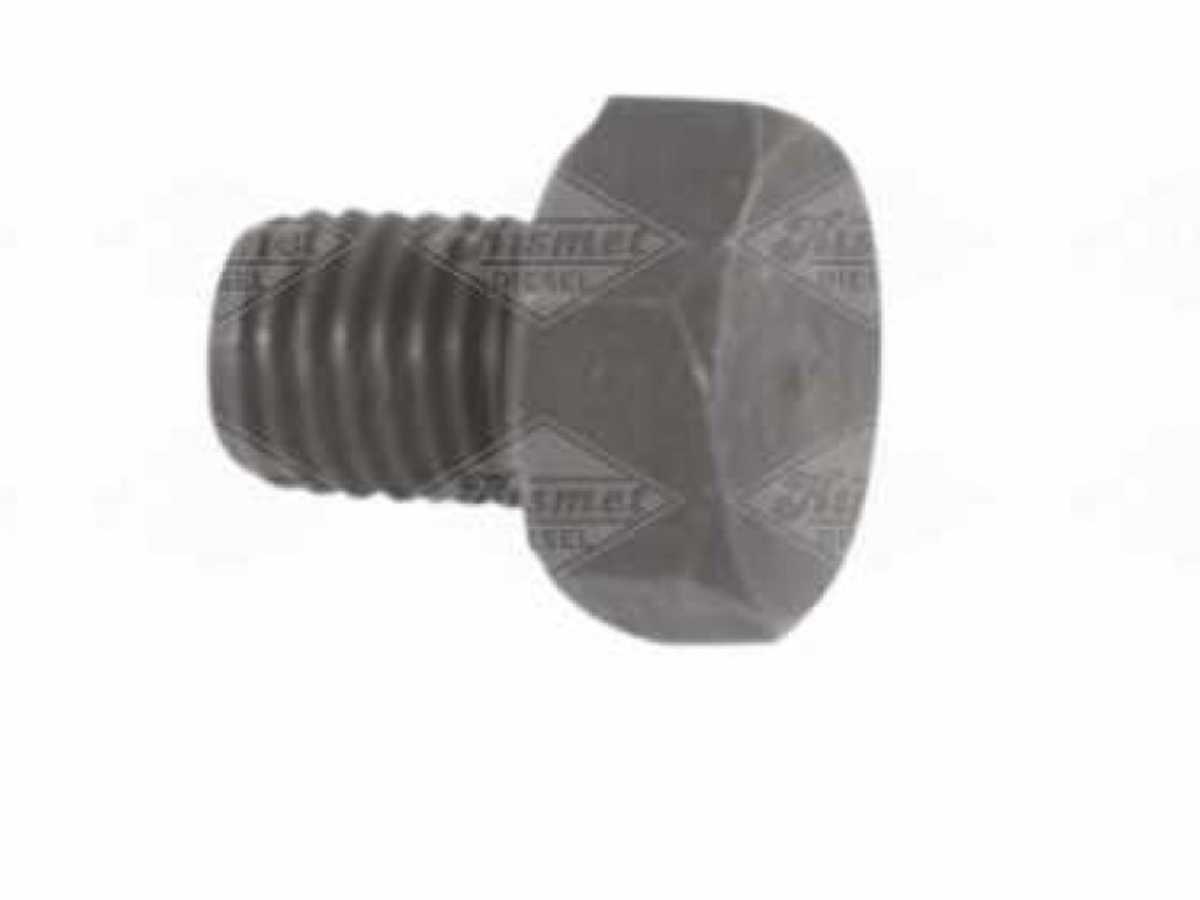 Bleeder Screw