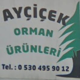 Ayçiçek Doğrama
