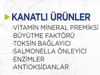 Корм Для Животных