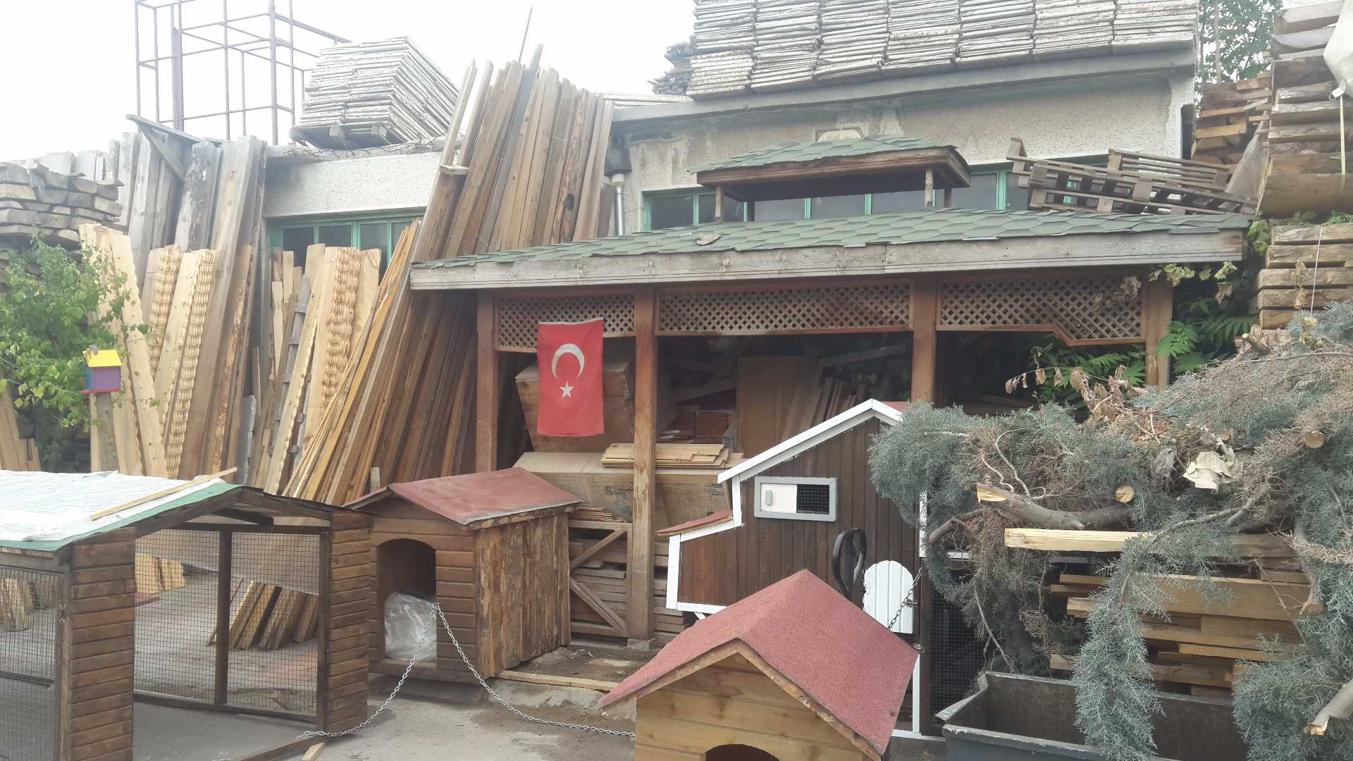 Bayg&#x131;n Do&#x11F;rama