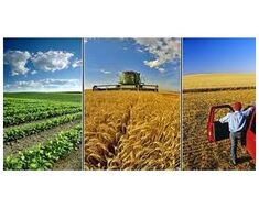 Agricultural Products