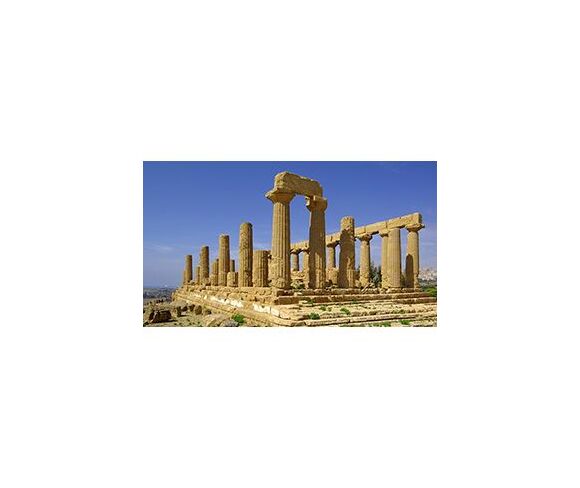 International-Local Tours
