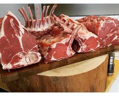 Meat