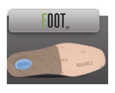 Shoe Sole
