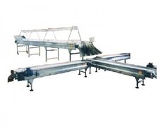 Bande De Tri De Fruits