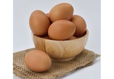Tavuk Yumurtası